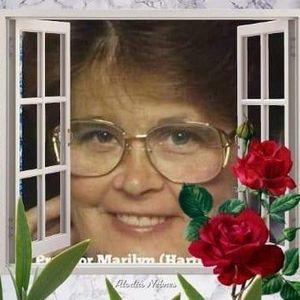 Meet your Posher, Marilyn